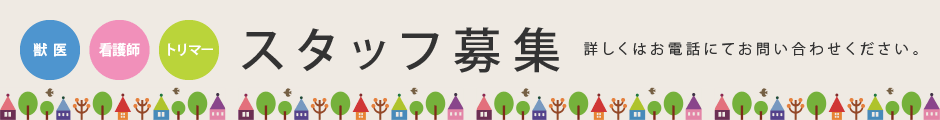 求人バナー
